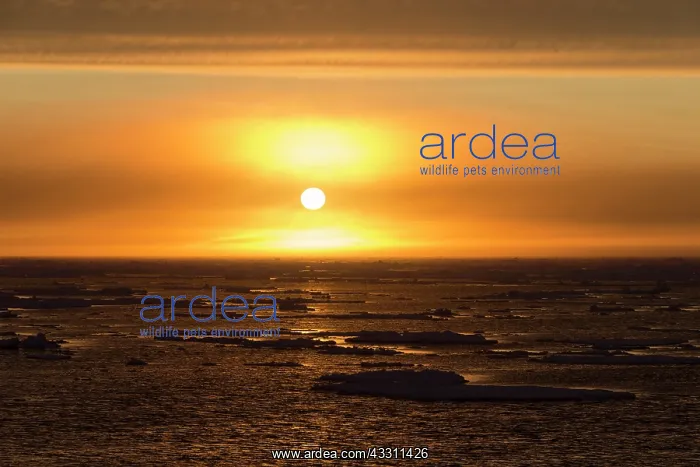 : 80200077 Sunset - over seascape Erik Eriksenstreet : 80200077 Sunset - over seascape Erik Eriksenstreet