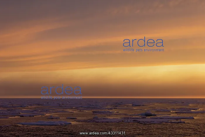 : 80200078 Sunset - over seascape Erik Eriksenstreet : 80200078 Sunset - over seascape Erik Eriksenstreet