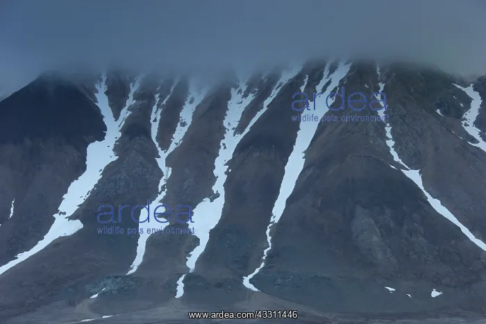 : 80200080 Mountain Landscape Hornsund, Svalbard : 80200080 Mountain Landscape Hornsund, Svalbard
