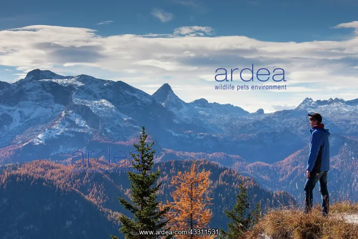 : 80200091 Panoramic View - from Mount Jenner Berchtesgaden : 80200091 Panoramic View - from Mount Jenner Berchtesgaden