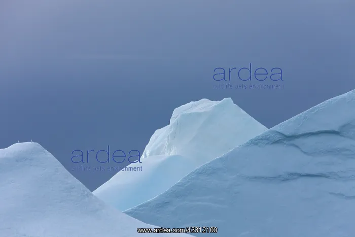 : 80200147 Icebergs Ilulissat Icefjord, Greenland : 80200147 Icebergs Ilulissat Icefjord, Greenland