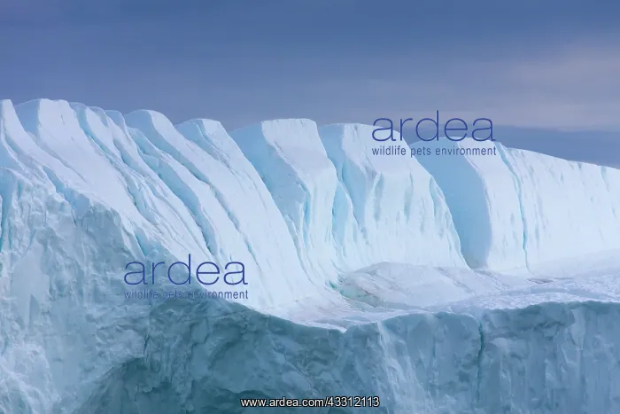 : 80200148 Icebergs Ilulissat Icefjord, Greenland : 80200148 Icebergs Ilulissat Icefjord, Greenland