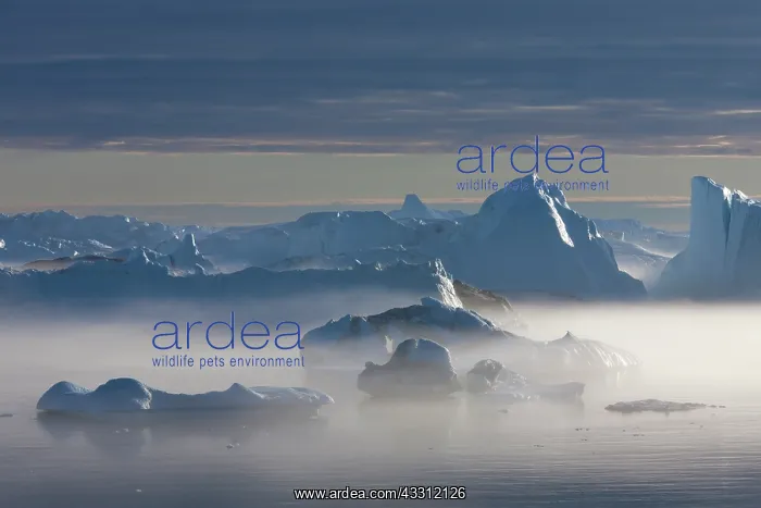  : 80200149 Icebergs - in fog Ilulissat Icefjord, Greenland