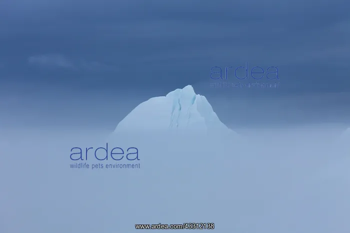 : 80200150 Icebergs - in fog Ilulissat Icefjord, Greenland : 80200150 Icebergs - in fog Ilulissat Icefjord, Greenland