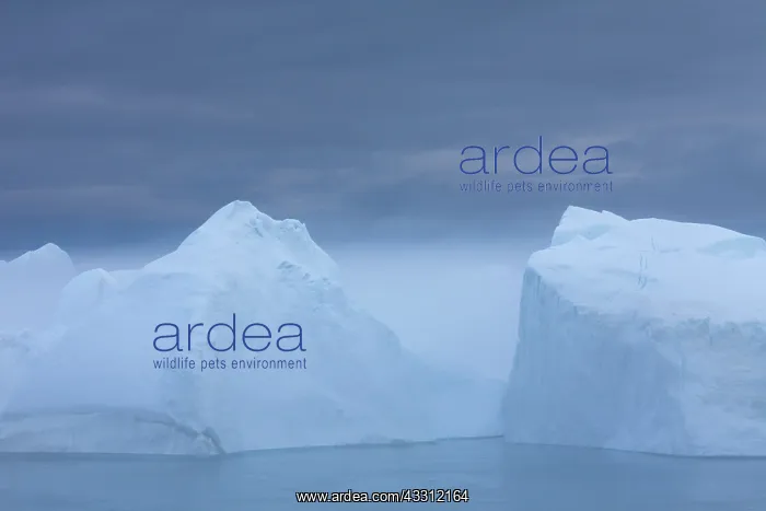 : 80200152 Icebergs - in fog Ilulissat Icefjord, Greenland : 80200152 Icebergs - in fog Ilulissat Icefjord, Greenland