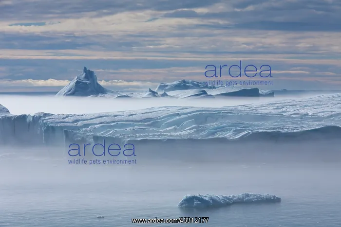 : 80200153 Icebergs - in fog Ilulissat Icefjord, Greenland : 80200153 Icebergs - in fog Ilulissat Icefjord, Greenland
