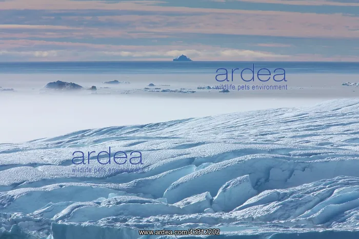 : 80200155 Icebergs - in fog Ilulissat Icefjord, Greenland : 80200155 Icebergs - in fog Ilulissat Icefjord, Greenland