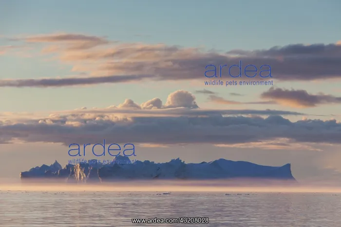 : 80200156 Icebergs - in fog Ilulissat Icefjord, Greenland : 80200156 Icebergs - in fog Ilulissat Icefjord, Greenland