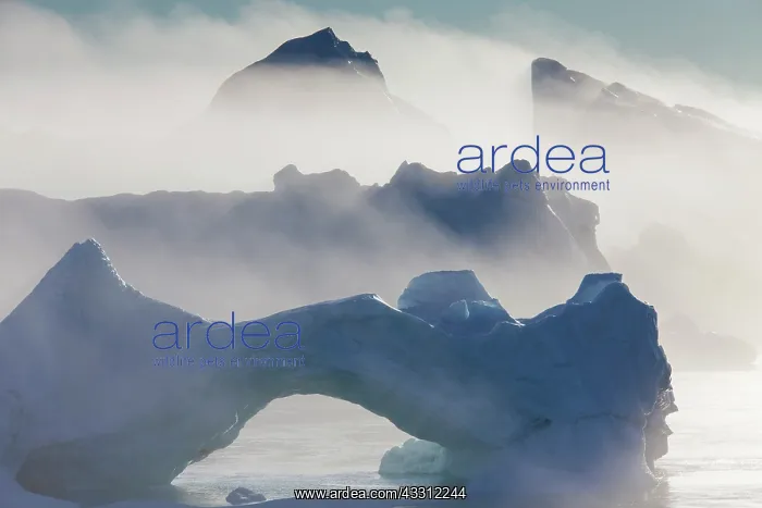 : 80200160 Icebergs - in fog Ilulissat Icefjord, Greenland : 80200160 Icebergs - in fog Ilulissat Icefjord, Greenland