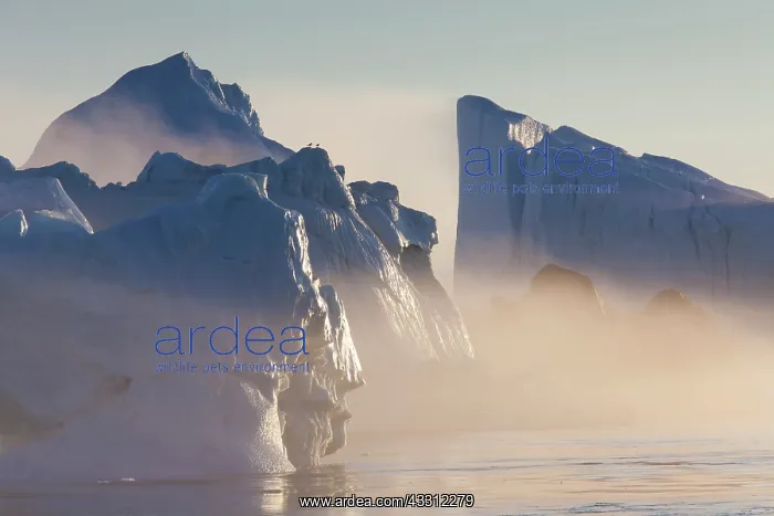 : 80200163 Icebergs - in fog Ilulissat Icefjord, Greenland : 80200163 Icebergs - in fog Ilulissat Icefjord, Greenland