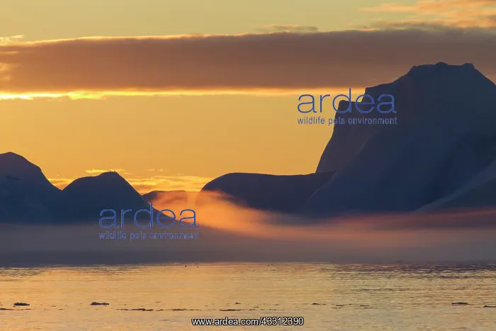 : 80200171 Icebergs - at sunset Ilulissat Icefjord : 80200171 Icebergs - at sunset Ilulissat Icefjord