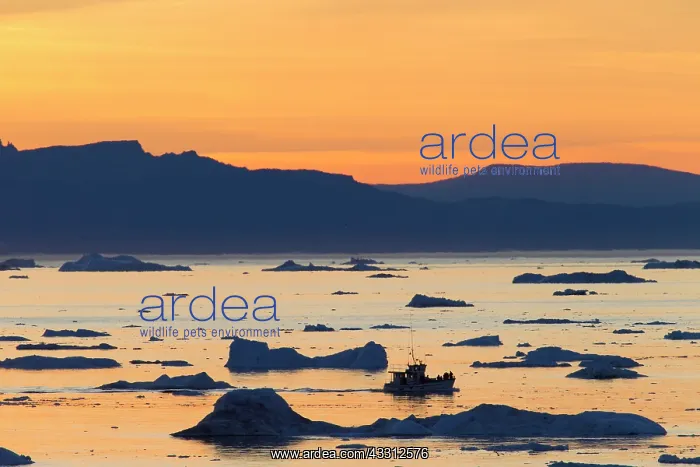 : 80200185 Icebergs - at sunset Ilulissat Icefjord : 80200185 Icebergs - at sunset Ilulissat Icefjord
