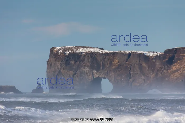 : 80200186 Gigantic Black Arch Dyrholaey, Iceland : 80200186 Gigantic Black Arch Dyrholaey, Iceland