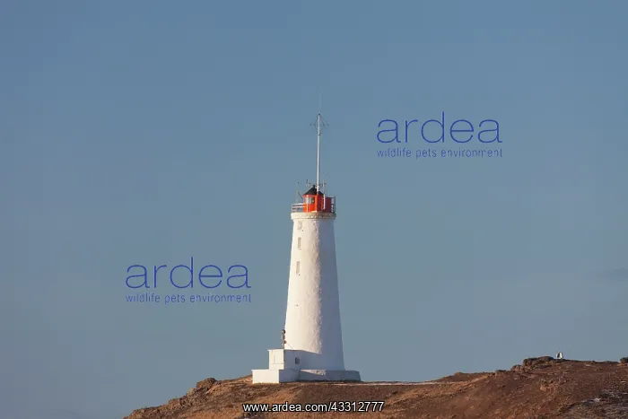 : 80200205 Lighthouse Valahnukur Reykjanes, Iceland : 80200205 Lighthouse Valahnukur Reykjanes, Iceland