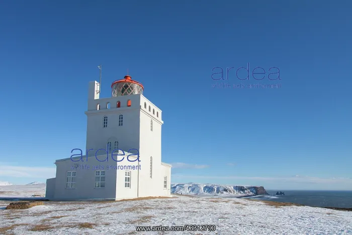 : 80200206 Lighthouse Dyrholaey Cape Dyrholaey, Iceland : 80200206 Lighthouse Dyrholaey Cape Dyrholaey, Iceland