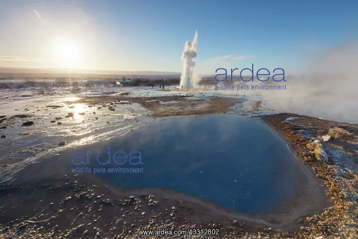 : 80200207 Blesi Spring and Geyser Strokkur - at geothermal : 80200207 Blesi Spring and Geyser Strokkur - at geothermal