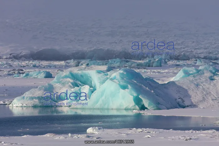 : 80200213 Ice Floats - Joekusarlon Glacier Lagoon : 80200213 Ice Floats - Joekusarlon Glacier Lagoon