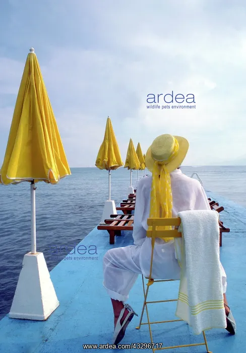 : 80200279 Woman - looking out to sea from pier Frederic : 80200279 Woman - looking out to sea from pier Frederic