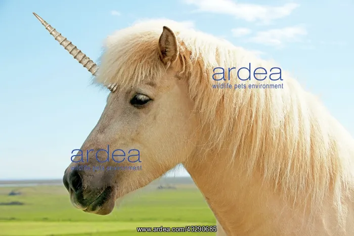 : 80200317 Unicorn Digital Manipulation John Daniels : 80200317 Unicorn Digital Manipulation John Daniels