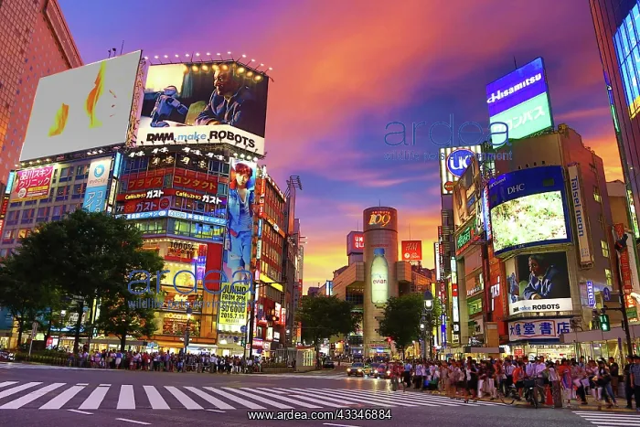  : 80200322 Buildings at sunset at the pedestrian crossing