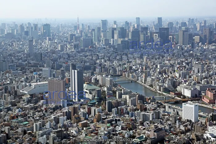 : 80200324 General aerial view of the city skyline : 80200324 General aerial view of the city skyline