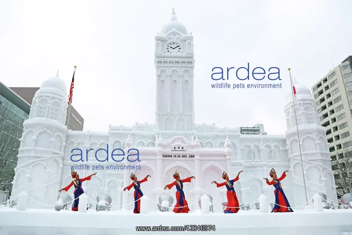 : 80200333 Ice sculpture of the Sultan Abdul Samad : 80200333 Ice sculpture of the Sultan Abdul Samad