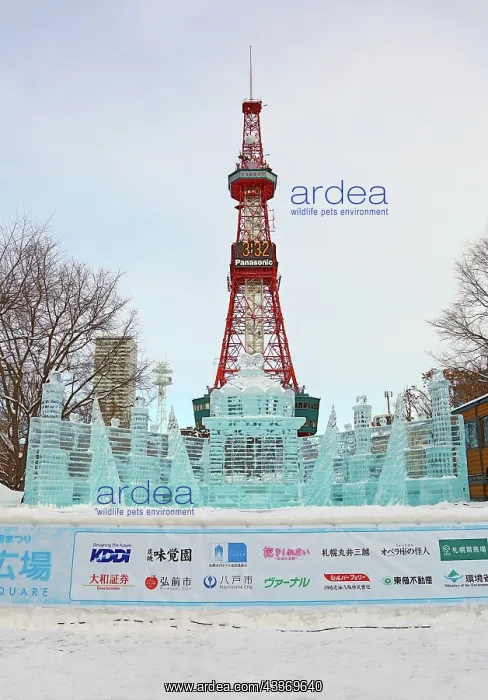 : 80200336 Ice sculpture called The Palace of Heart : 80200336 Ice sculpture called The Palace of Heart