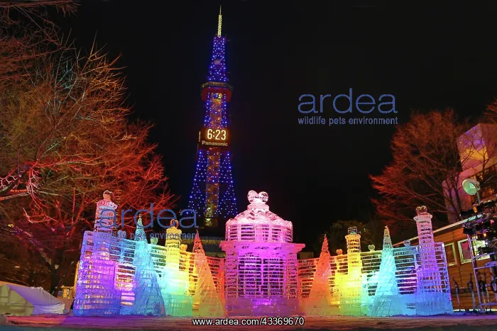 : 80200338 Ice sculpture called The Palace of Heart : 80200338 Ice sculpture called The Palace of Heart