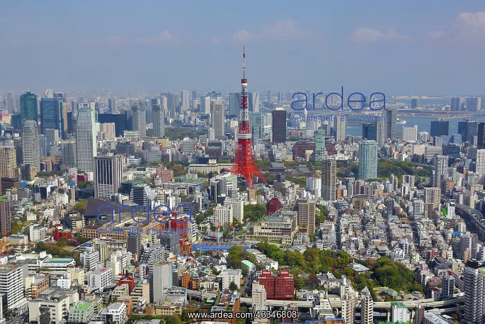 : 80200365 Tokyo Tower and the city skyline in Tokyo : 80200365 Tokyo Tower and the city skyline in Tokyo