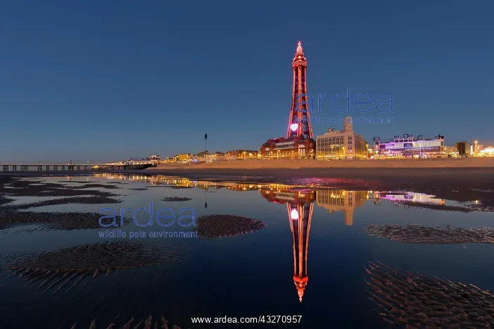 : 80200510 Blackpool Beach - and tower Lancashire : 80200510 Blackpool Beach - and tower Lancashire