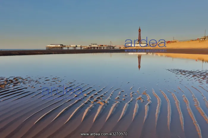 : 80200511 Blackpool Beach - and tower Lancashire : 80200511 Blackpool Beach - and tower Lancashire