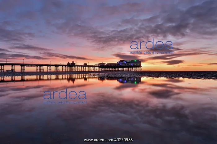 : 80200512 Blackpool Pier - at sunset Lancashire : 80200512 Blackpool Pier - at sunset Lancashire