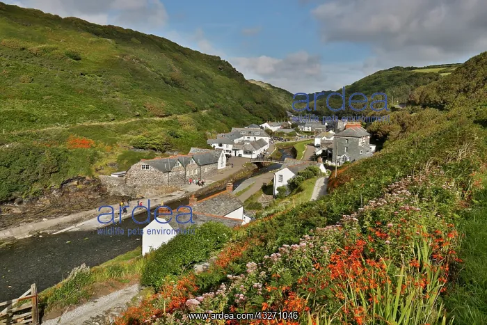 : 80200518 Boscastle - River Valency Cornwall, UK : 80200518 Boscastle - River Valency Cornwall, UK