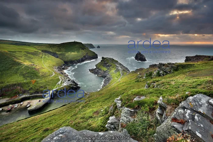 : 80200519 Boscastle - River Valency, harbour and : 80200519 Boscastle - River Valency, harbour and