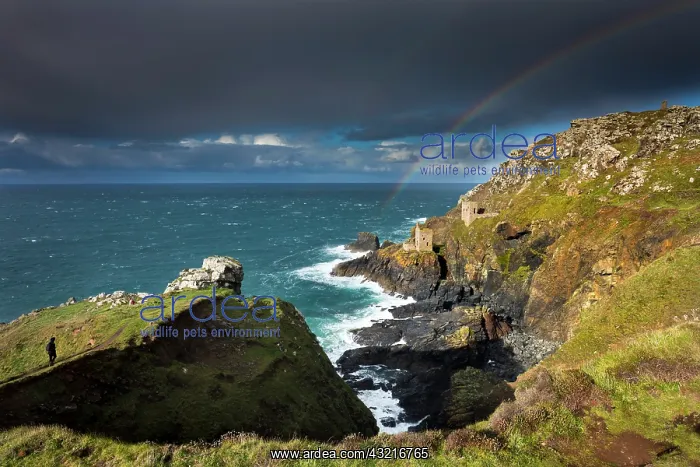 : 80200522 Botallack Engine Houses Cornwall, UK David : 80200522 Botallack Engine Houses Cornwall, UK David