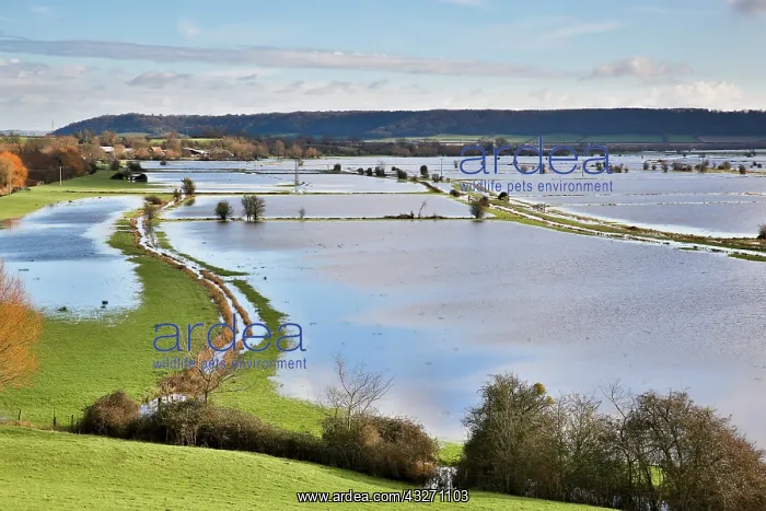 : 80200530 Flooding - view from Burrow Mump in winter : 80200530 Flooding - view from Burrow Mump in winter