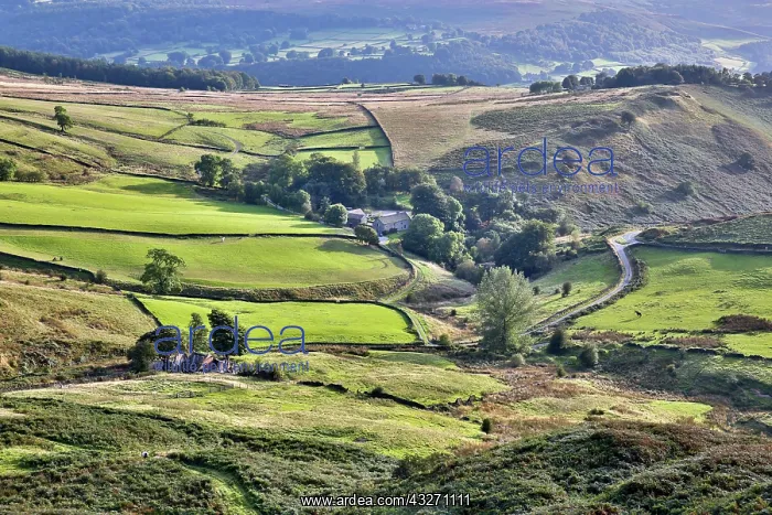 : 80200531 Callow Bank Peak District, Derbyshire : 80200531 Callow Bank Peak District, Derbyshire