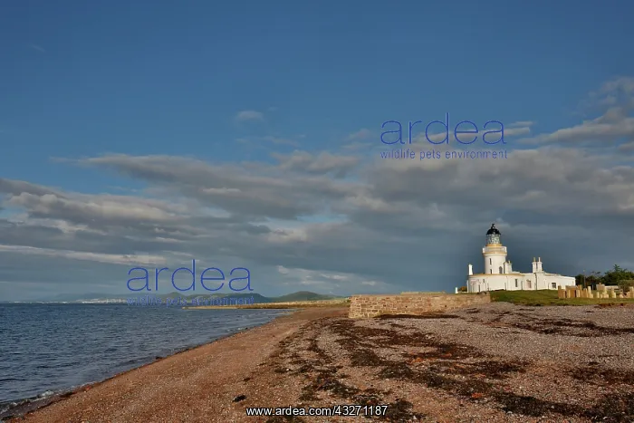  : 80200537 Seascape Chanonry Point, Moray Firth
