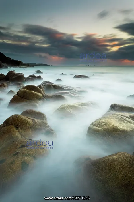 : 80200543 Seascape - Cot Valley Cornwall, UK David : 80200543 Seascape - Cot Valley Cornwall, UK David