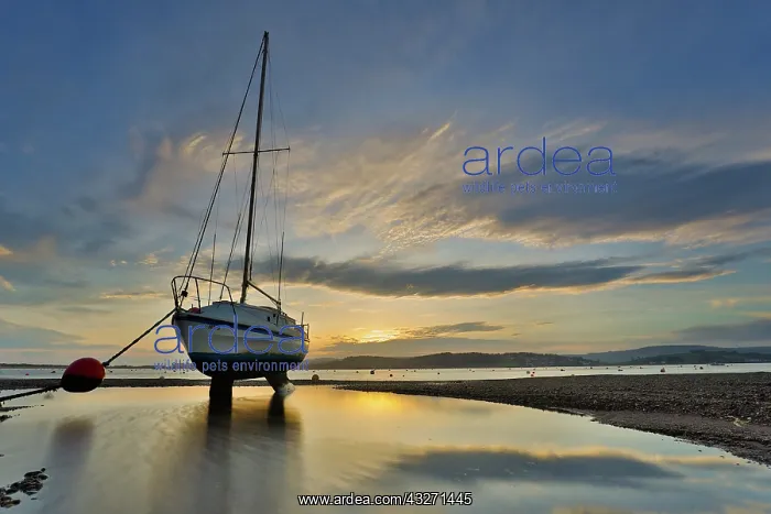  : 80200561 Boat on the Beach - in winter Exmouth