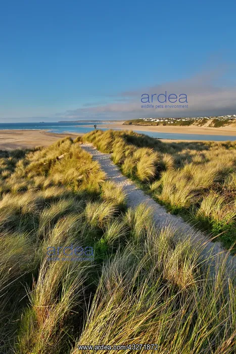  : 80200628 Porth Kidney Hayle Estuary, St Ives Bay