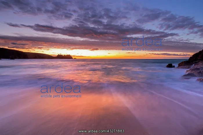 : 80200630 Seascape - at dawn sunrise Porthcurno : 80200630 Seascape - at dawn sunrise Porthcurno