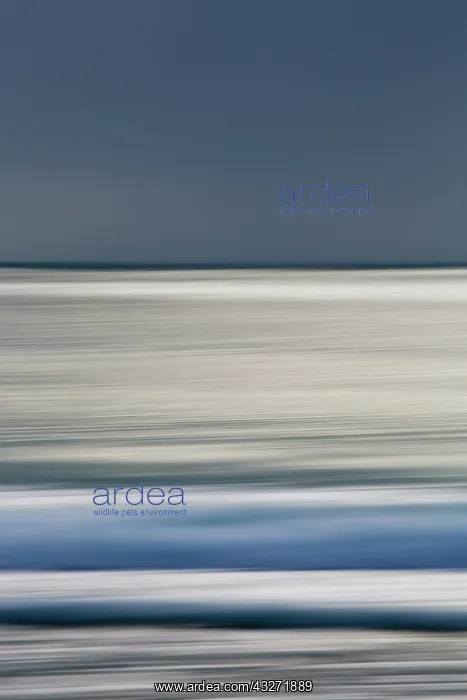 : 80200631 Seascape - sea waves Porthcurno, Cornwall : 80200631 Seascape - sea waves Porthcurno, Cornwall