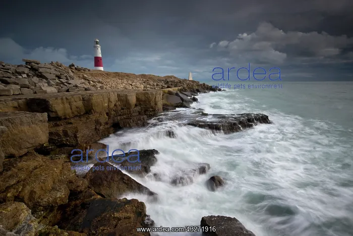 : 80200636 Seascape - Portland Bill Lighthouse Dorset : 80200636 Seascape - Portland Bill Lighthouse Dorset