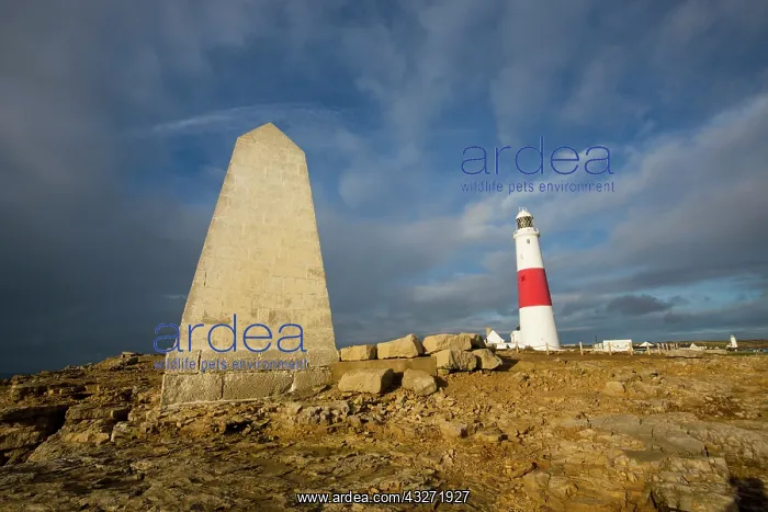 : 80200638 Portland Bill Lighthouse - and Trinity : 80200638 Portland Bill Lighthouse - and Trinity