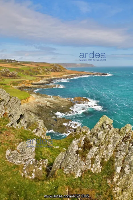 : 80200641 Seascape Prawle Point, Devon, UK David : 80200641 Seascape Prawle Point, Devon, UK David