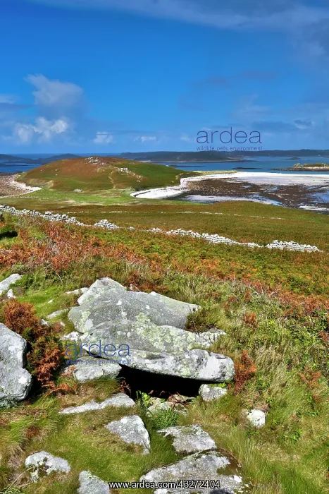 : 80200690 Samson Isles of Scilly, UK David Chapman : 80200690 Samson Isles of Scilly, UK David Chapman