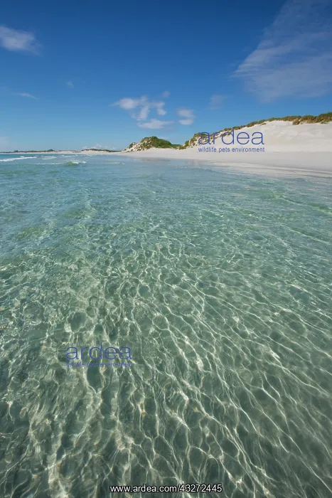 : 80200693 Seascape Tresness Beach, Sanday, Orkney : 80200693 Seascape Tresness Beach, Sanday, Orkney