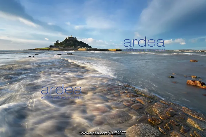 : 80200715 Seascape - view from Marazion St Michael's : 80200715 Seascape - view from Marazion St Michael's