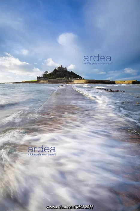 : 80200716 St Michael's Mount - causeway Cornwall : 80200716 St Michael's Mount - causeway Cornwall